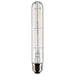 Satco S21867 Light Bulb, Clear Main Image.jpg