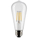 Satco S21869 Light Bulb, Clear Main Image.jpg