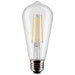 Satco S21870 Light Bulb, Clear Main Image.jpg