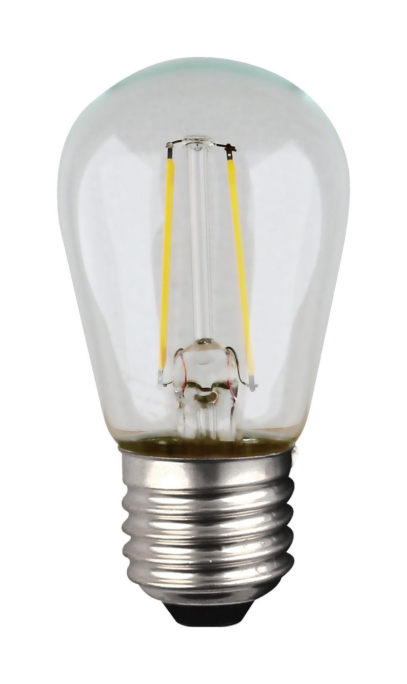 Satco S8027 Light Bulb, Clear Main Image.jpg