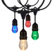 Satco S8031 LED String Light, Black Main Image.jpg