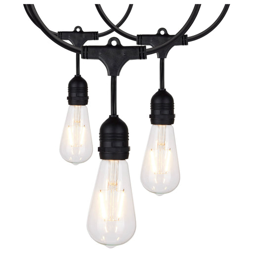 Satco S8036 LED String Light, Black Main Image.jpg