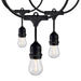 Satco S8037 LED String Light, Black Main Image.jpg