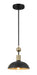 Minka-Lavery 1994-862 Biloxi One Light Pendant, Coal And Antique Brass Main Image.jpg