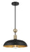 Minka-Lavery 1995-862 Biloxi One Light Pendant, Coal And Antique Brass Main Image.jpg