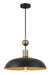 Minka-Lavery 1996-862 Biloxi One Light Pendant, Coal And Antique Brass Main Image.jpg