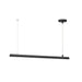 ET2 E26003-90BK Continuum LED Linear Pendant, Black Main Image.jpg