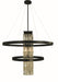 Framburg 5738 MBLACK Iris Five Light Foyer Chandelier, Matte Black Main Image.jpg