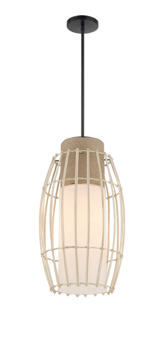 Minka-Lavery 1104-66A Watermill By Robin Baron One Light Pendant, Coal Main Image.jpg