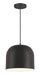 Minka-Lavery 6202-66A Vantage Pendants One Light Hanging Lantern, Coal Main Image.jpg