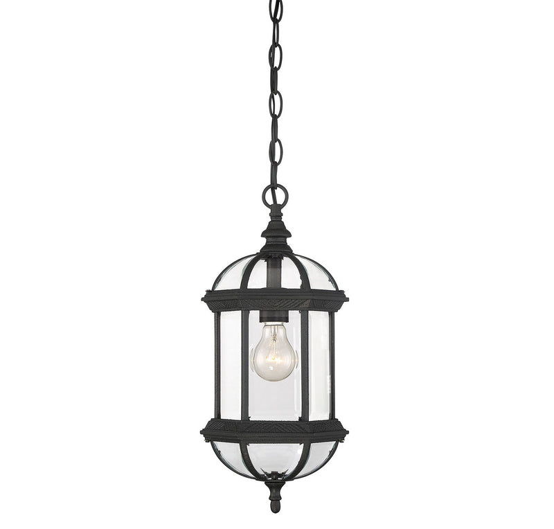 Savoy House 5-0631-BK One Light Hanging Lantern, Textured Black (2)