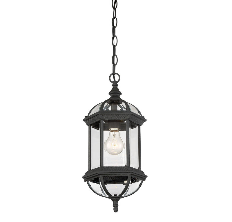 Savoy House 5-0631-BK One Light Hanging Lantern, Textured Black (3)