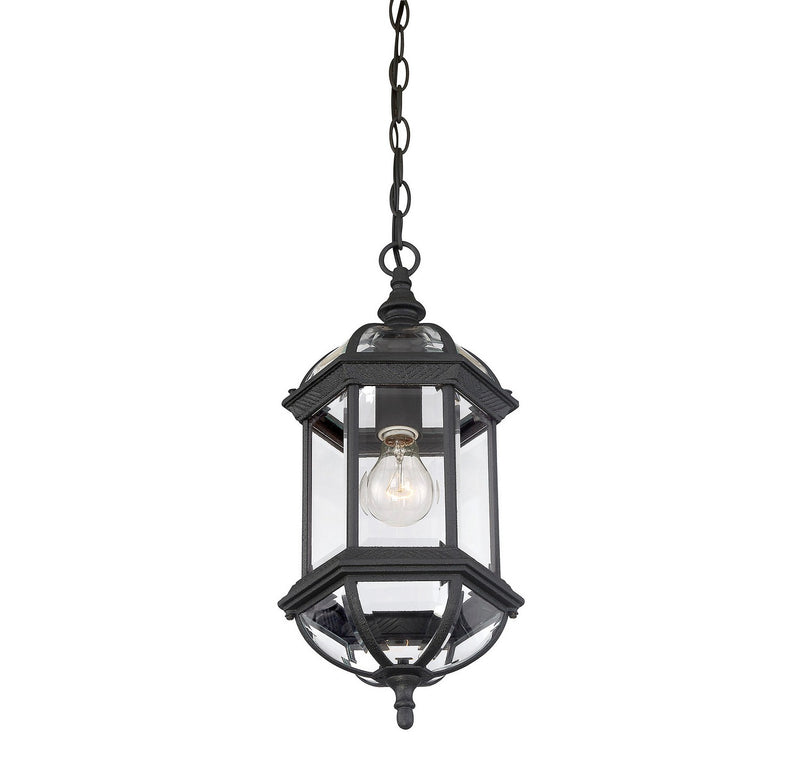 Savoy House 5-0631-BK One Light Hanging Lantern, Textured Black (4)