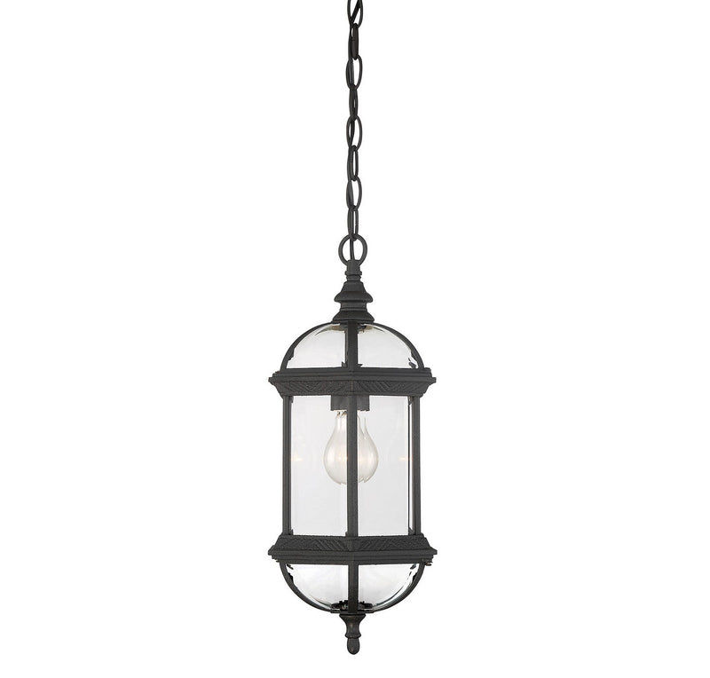 Savoy House 5-0631-BK One Light Hanging Lantern, Textured Black (5)