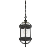 Savoy House 5-0631-BK One Light Hanging Lantern, Textured Black (6)