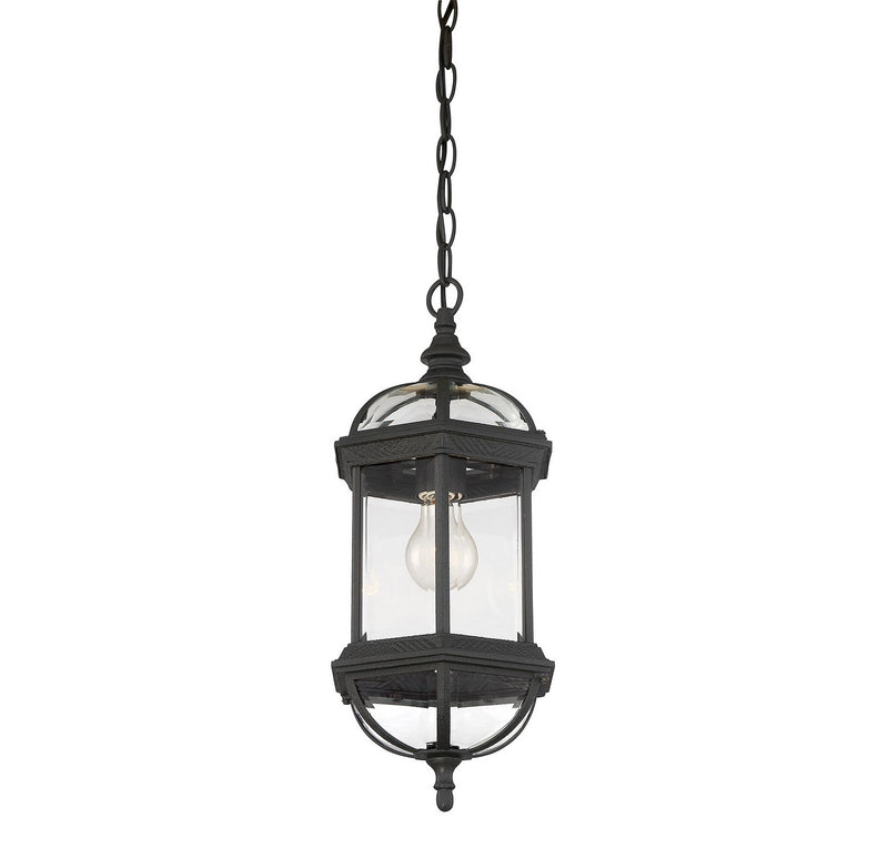 Savoy House 5-0631-BK One Light Hanging Lantern, Textured Black (6)