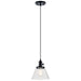 Kichler 43851BK One Light Mini Pendant, Black