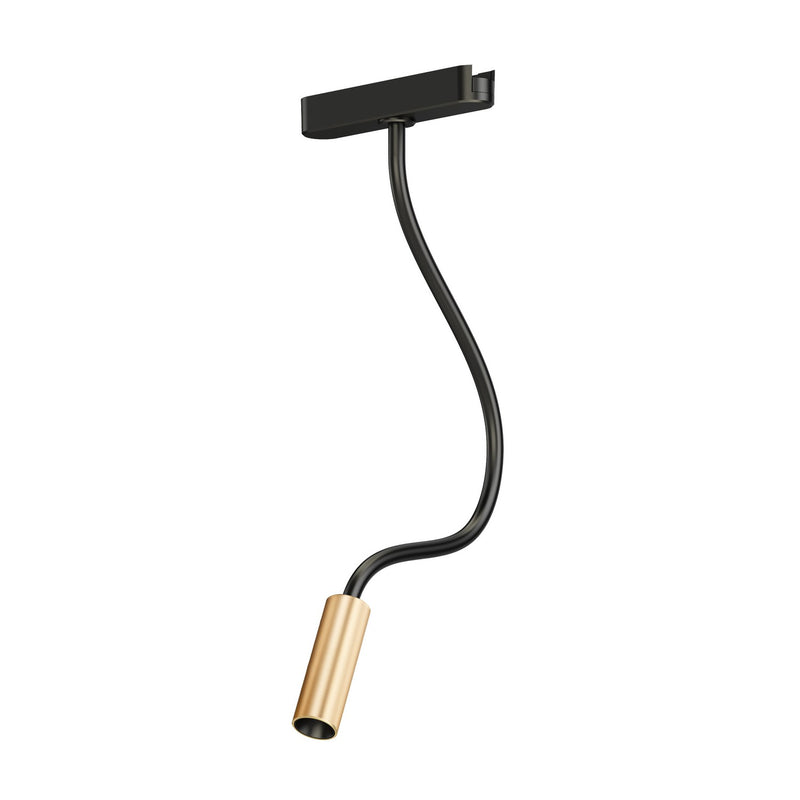 ET2 ETL21216-BKGLD Continuum - Track LED Track Light, Black / Gold Main Image.jpg