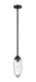 Z-Lite 651P-ROD-MB Arden One Light Pendant, Matte Black Main Image.jpg