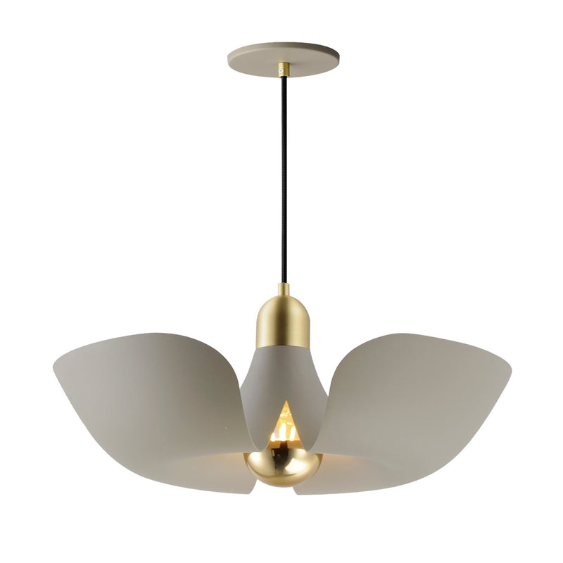 Maxim 11392SGSBR Poppy LED Pendant, Silver Gold / Satin Brass Main Image.jpg
