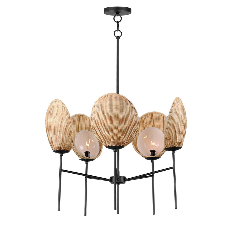 Maxim 12605NABK Maldives Five Light Chandelier, Black Main Image.jpg