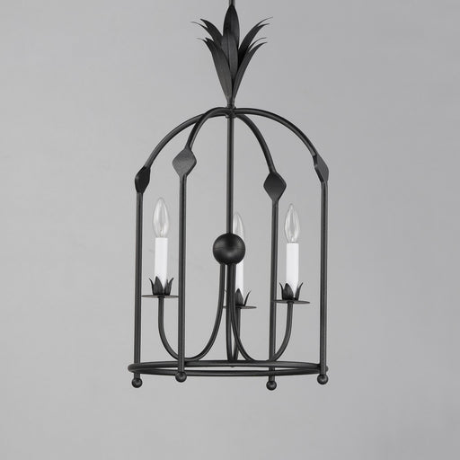 Maxim 2884AR Paloma Three Light Foyer Pendant, Anthracite Alternate Image.jpg