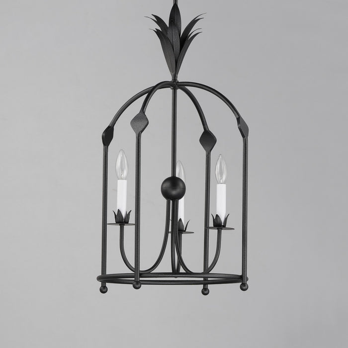 Maxim 2884AR Paloma Three Light Foyer Pendant, Anthracite Alternate Image.jpg