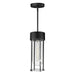 Maxim 30587CDBK Millennial One Light Outdoor Pendant, Black Main Image.jpg