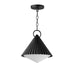 Maxim 35131WTBK Odette One Light Pendant, Black Main Image.jpg