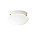 Kichler 209WH Ceiling Space Two Light Flush Mount, White Main Image.jpg