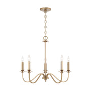 Capital Lighting AA1023MA Five Light Chandelier, Matte Brass
