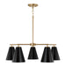 Capital Lighting AA1040RK Five Light Chandelier, Matte Brass and Black