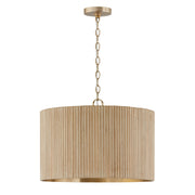 Capital Lighting 350741WS Donovan Three Light Pendant, White Wash and Matte Brass Main Image.jpg