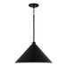 Capital Lighting 351311MB Alden One Light Pendant, Matte Black Main Image.jpg