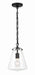 Crystorama VSS-7003-MK Voss One Light Mini Pendant Matte Black Main Image.jpg