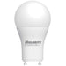 Bulbrite 774241 A-Type Light Bulb Frost Main Image.jpg