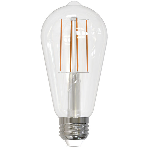 Bulbrite 776631 Filaments: Light Bulb Clear Main Image.jpg