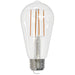 Bulbrite 776631 Filaments: Light Bulb Clear Main Image.jpg