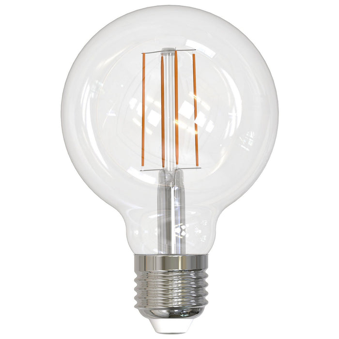 Bulbrite 776632 Filaments: Light Bulb Clear Main Image.jpg