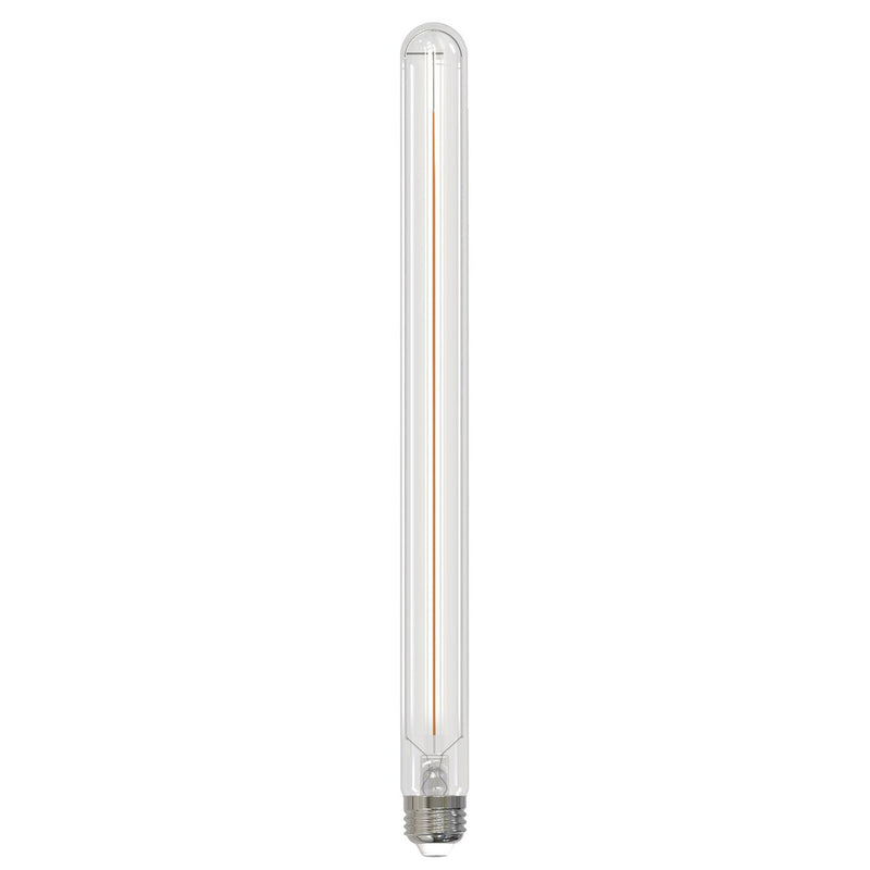 Bulbrite 776721 Filaments: Light Bulb Clear Main Image.jpg