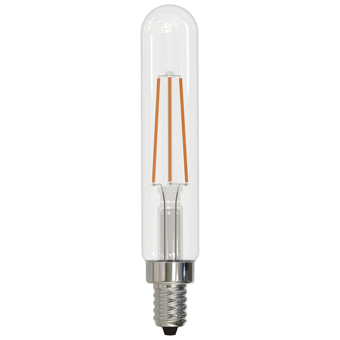Bulbrite 776723 Filaments: Light Bulb Clear Main Image.jpg