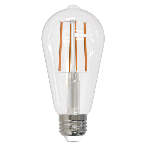 Bulbrite 776745 Light Bulb Clear Main Image.jpg