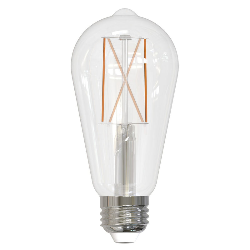 Bulbrite 776767 Filaments: Light Bulb Clear Main Image.jpg