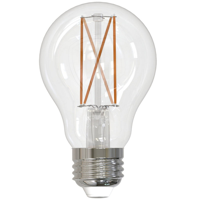 Bulbrite 776768 Filaments: Light Bulb Clear Main Image.jpg
