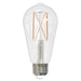 Bulbrite 776769 Filaments: Light Bulb Clear Main Image.jpg