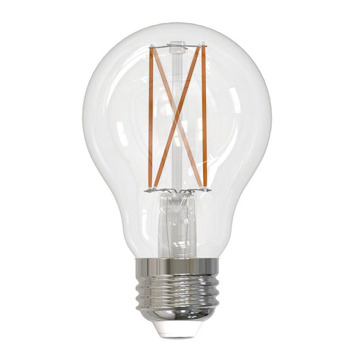 Bulbrite 776774 Filaments: Light Bulb Clear Main Image.jpg