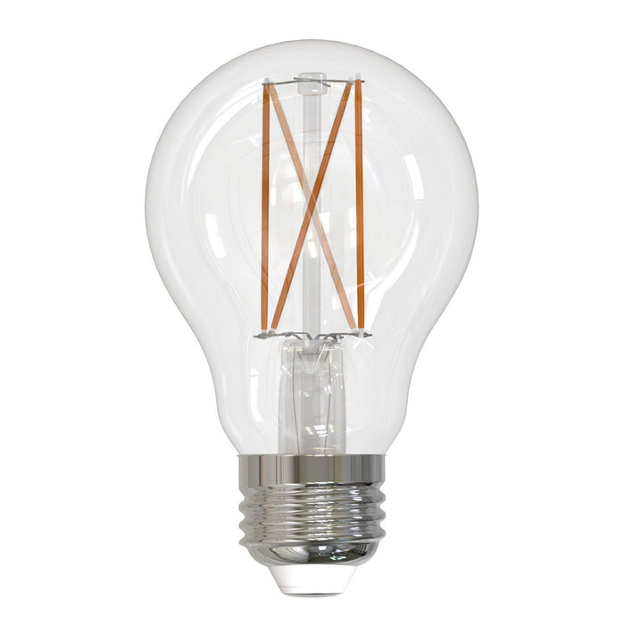 Bulbrite 776774 Filaments: Light Bulb Clear Main Image.jpg