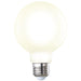 Bulbrite 776810 Filaments: Light Bulb Milky Main Image.jpg