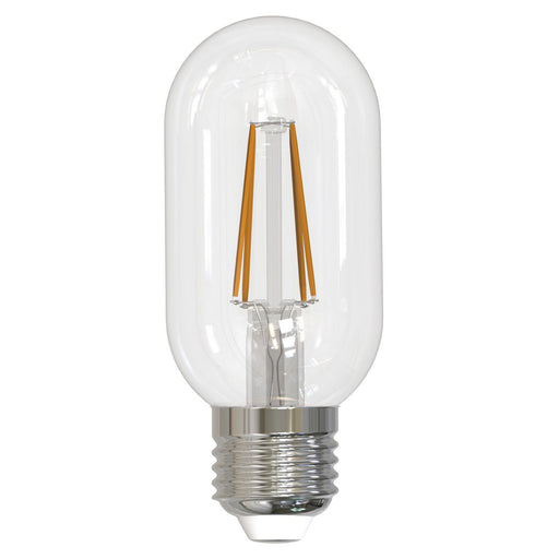 Bulbrite 776819 Filaments: Light Bulb Clear Main Image.jpg
