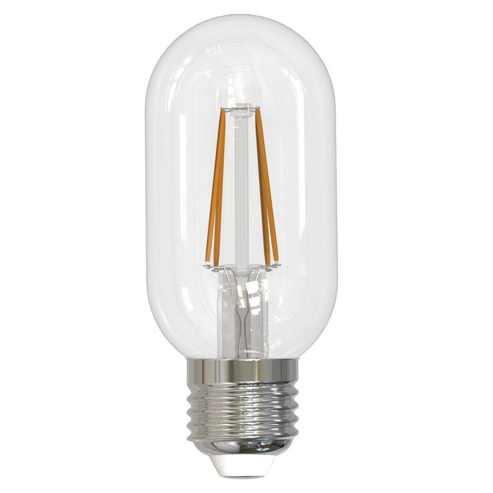Bulbrite 776819 Filaments: Light Bulb Clear Main Image.jpg